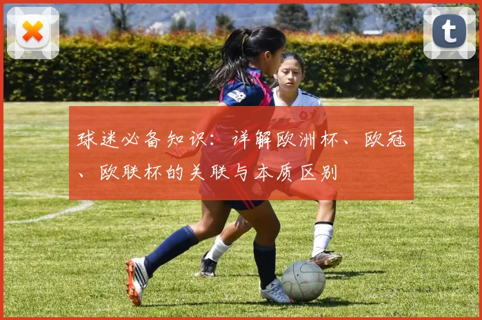 球迷必备知识：详解欧洲杯、欧冠、欧联杯的关联与本质区别